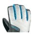 Dakine Catalina Gloves Silver Goretex Houndsto Gloves
