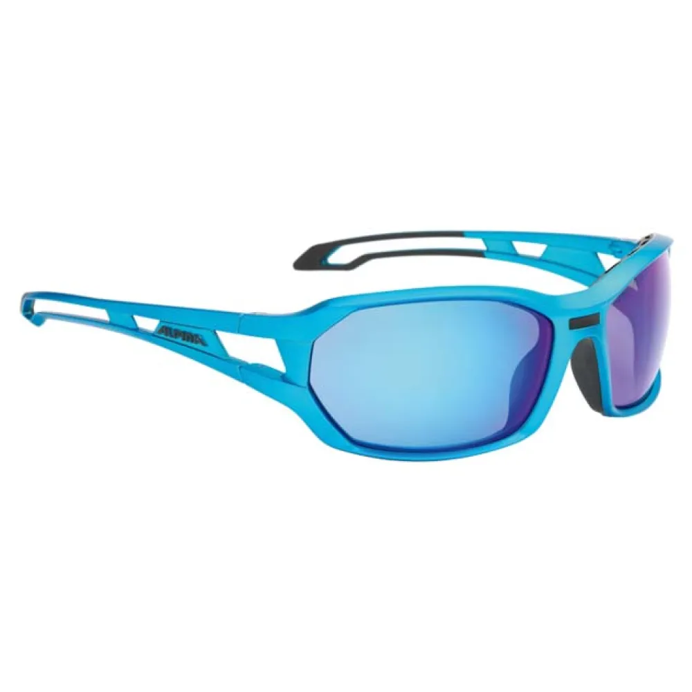 Lunettes Alpina Berryn Cm+ 