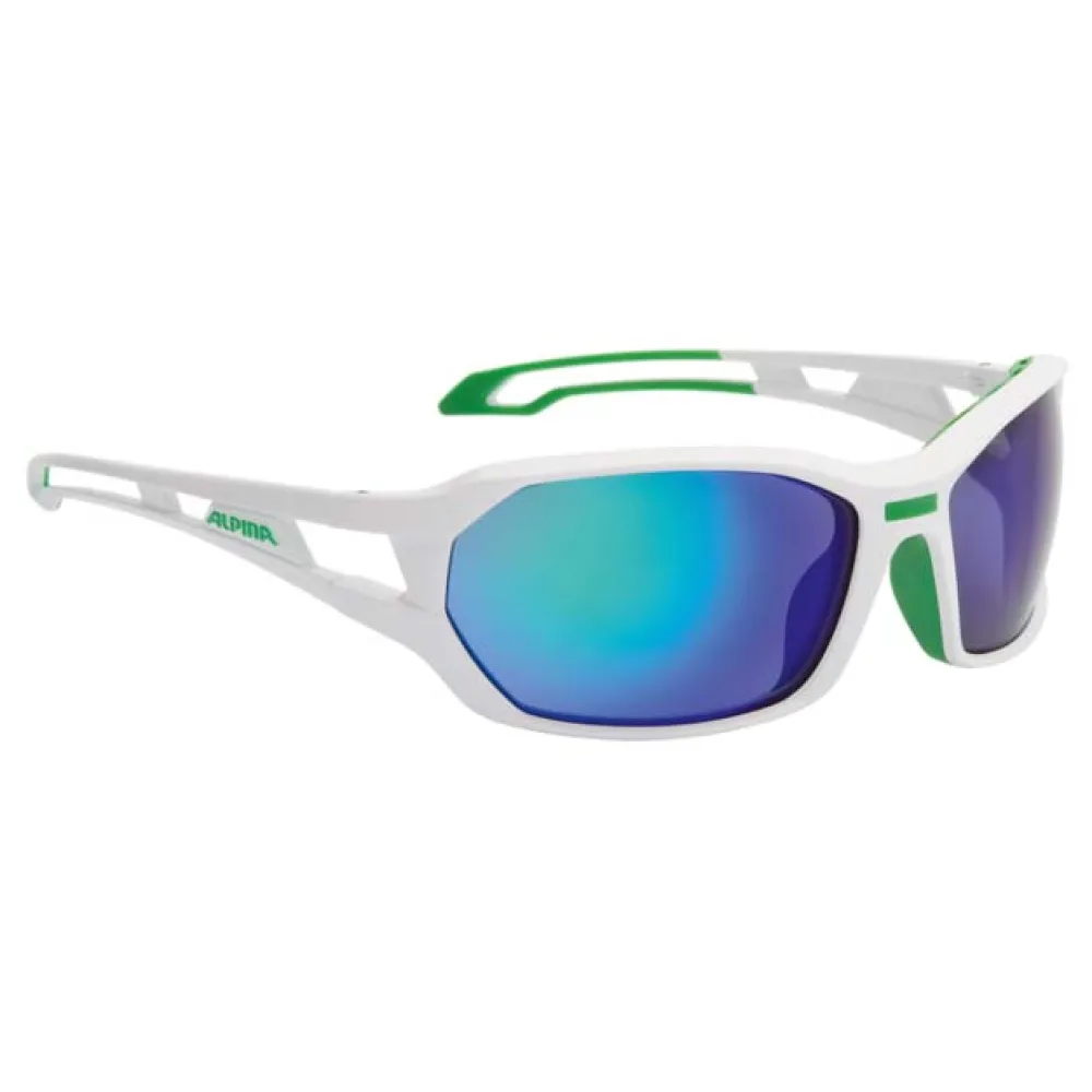 Lunettes Alpina Berryn Cm+ 