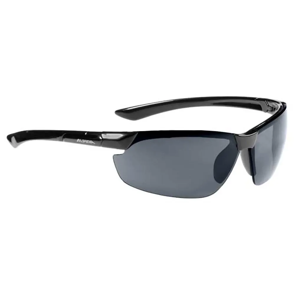 Lunettes Alpina Draff 