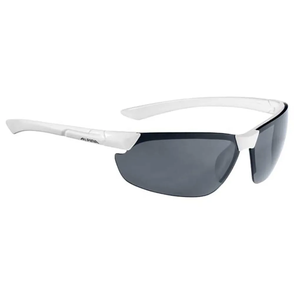 Lunettes Alpina Draff 