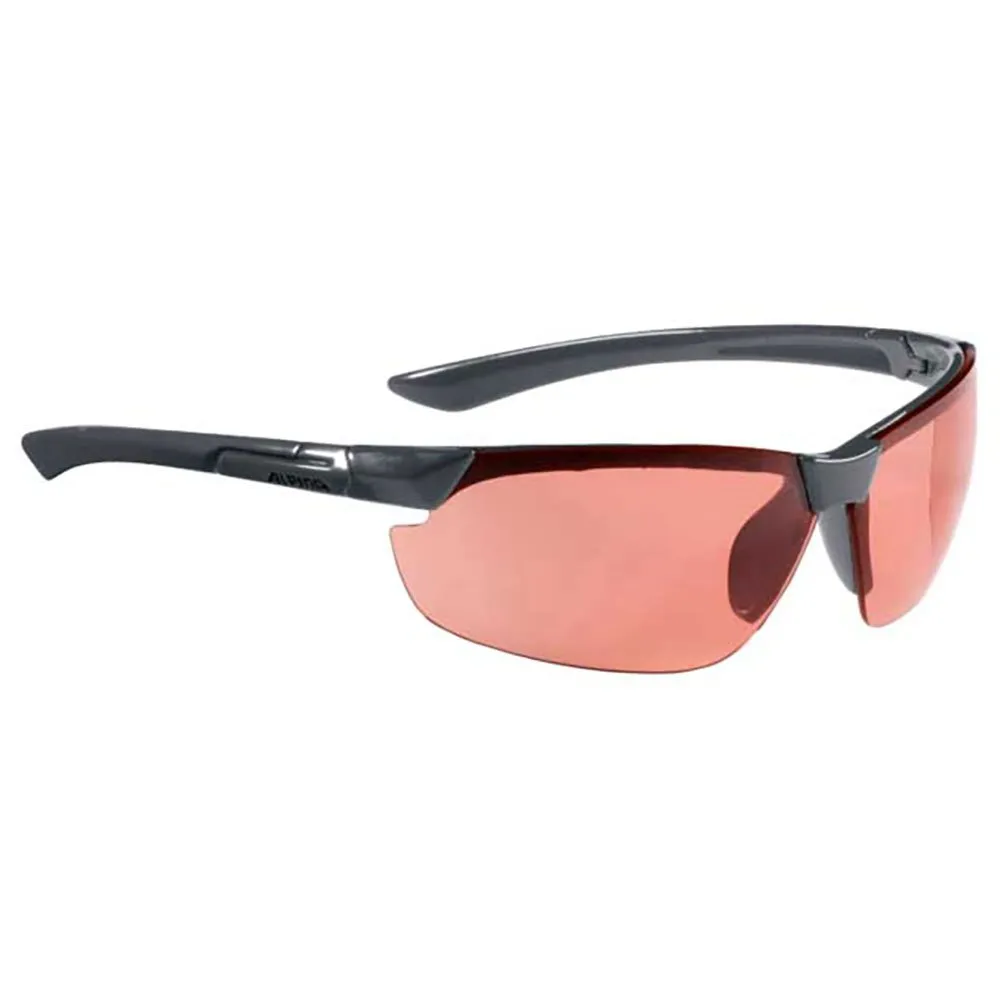 Lunettes Alpina Draff 