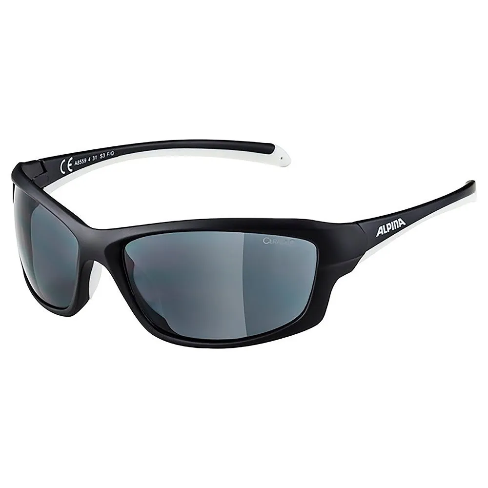 Lunettes Alpina Dyfer 