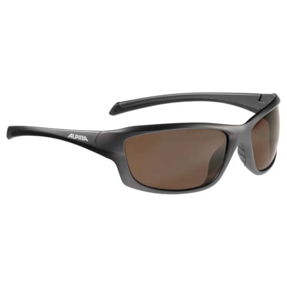 Lunettes Alpina Dyfer 