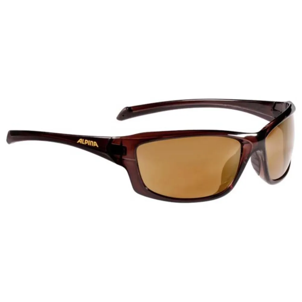 Lunettes Alpina Dyfer 