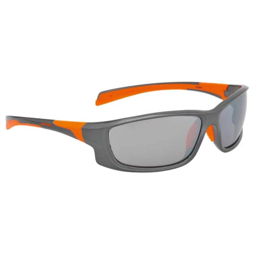 Lunettes Alpina Fenno 