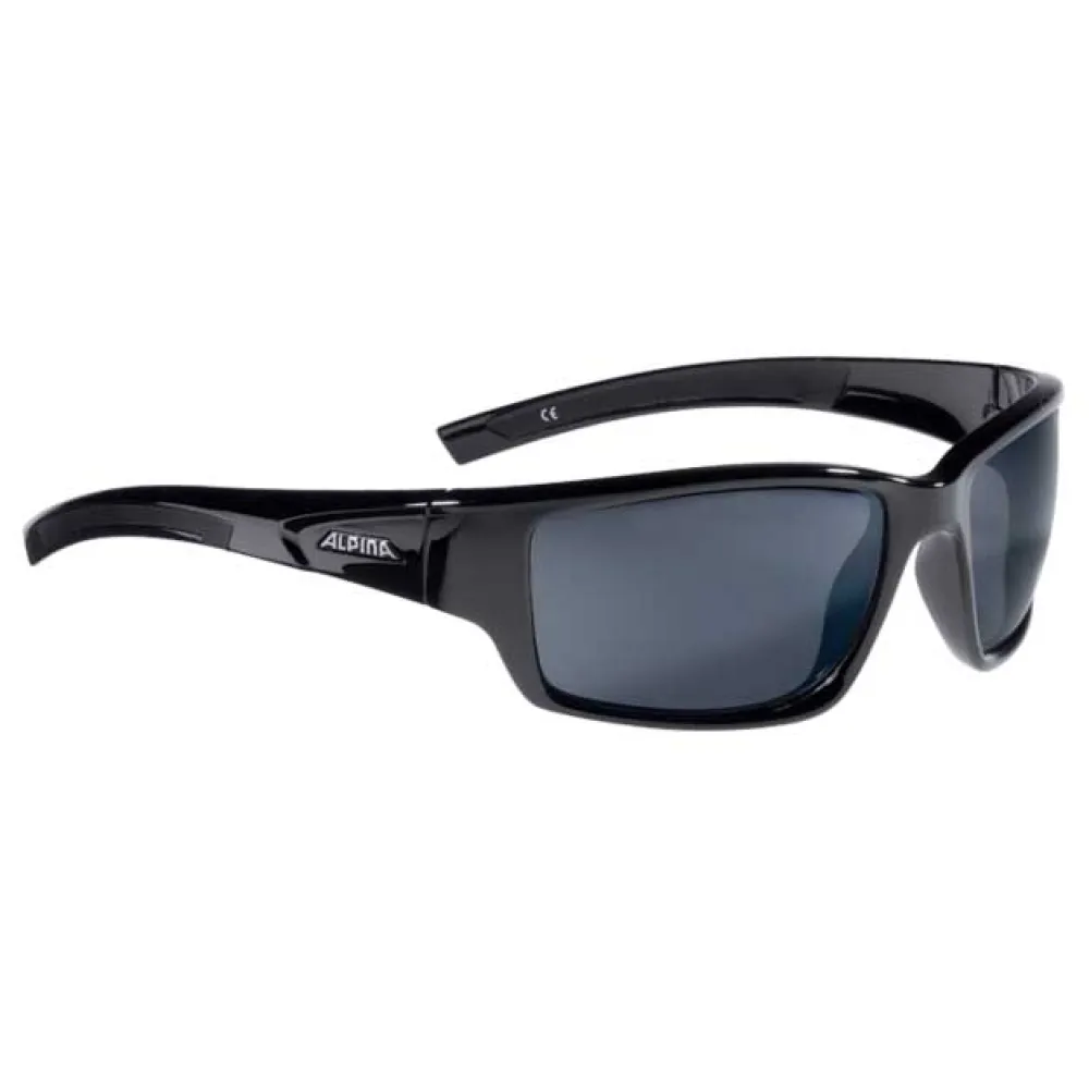 Lunettes Alpina Keekor 