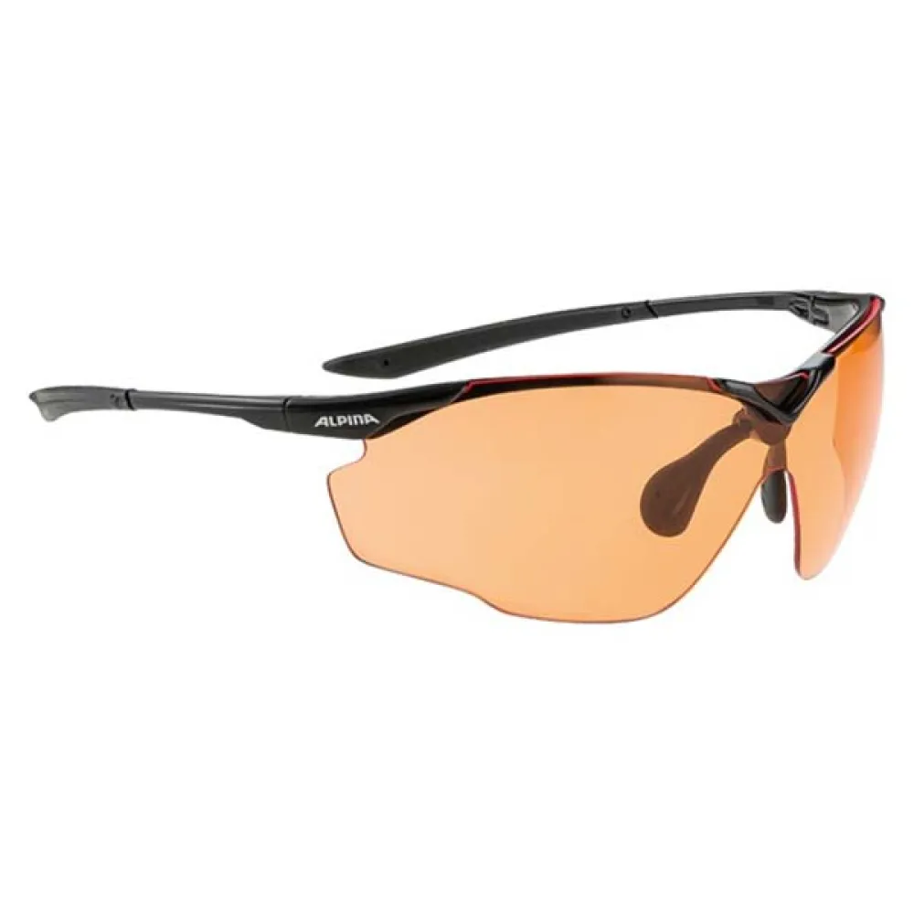 Lunettes Alpina Splinter Shield Vl 