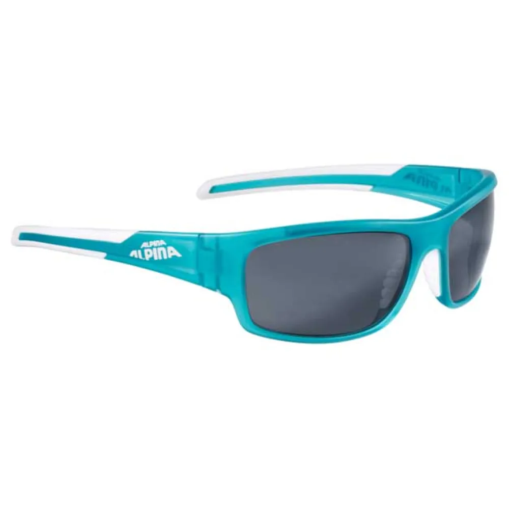 Lunettes Alpina Testido 