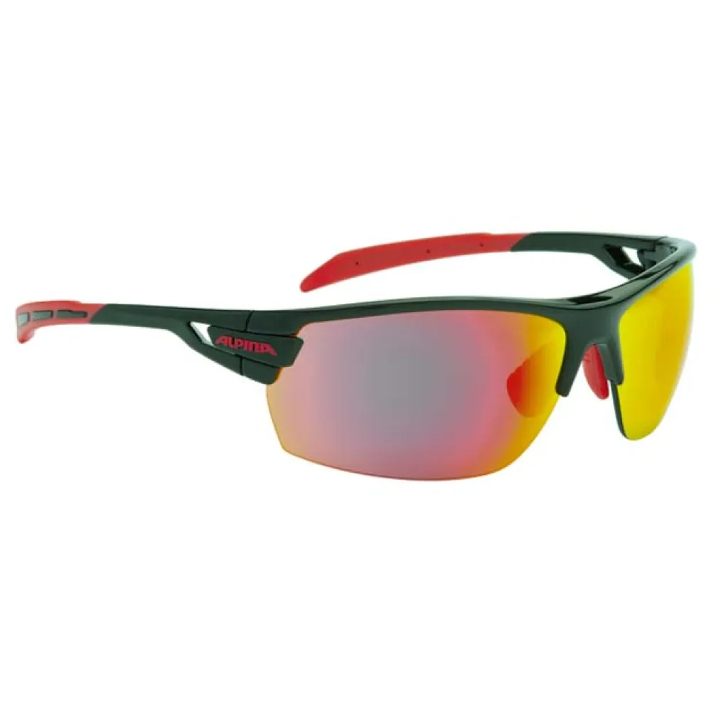 Lunettes Alpina Tri Scray 
