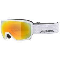 alpina-snow-scarabeo-hm-ski-brille