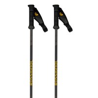 rossignol-tactic-carbon-safety-poles