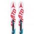 Atomic Esquís Alpinos Redster FIS Doubledeck GS M 16/17