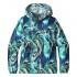 Patagonia Light and Variable Hoody Jas
