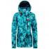 The north face Garner Triclimate Jacket