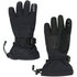 Spyder Overweb Goretex Ski Handschuhe