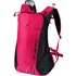 Dynafit Speed 28L Backpack