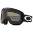 Oakley OO7113-02 Ski Goggles