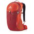 Gregory Citro 24L Backpack