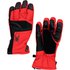 Spyder BA Goretex Ski Gloves