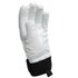 Dainese snow Guants HP
