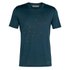 Icebreaker Tech Lite Tour Du Mont Blanc Merino Short Sleeve T-Shirt