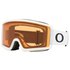 Oakley Ridge Line S Ski Goggles