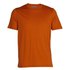 Icebreaker Tech Lite II Merino short sleeve T-shirt